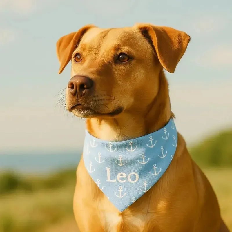 Hundehalsband personaliserbar mit Wunschname und Design