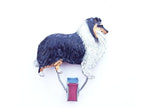 Startnummern Clip Collie tricolor-Tierisch tolle Geschenke