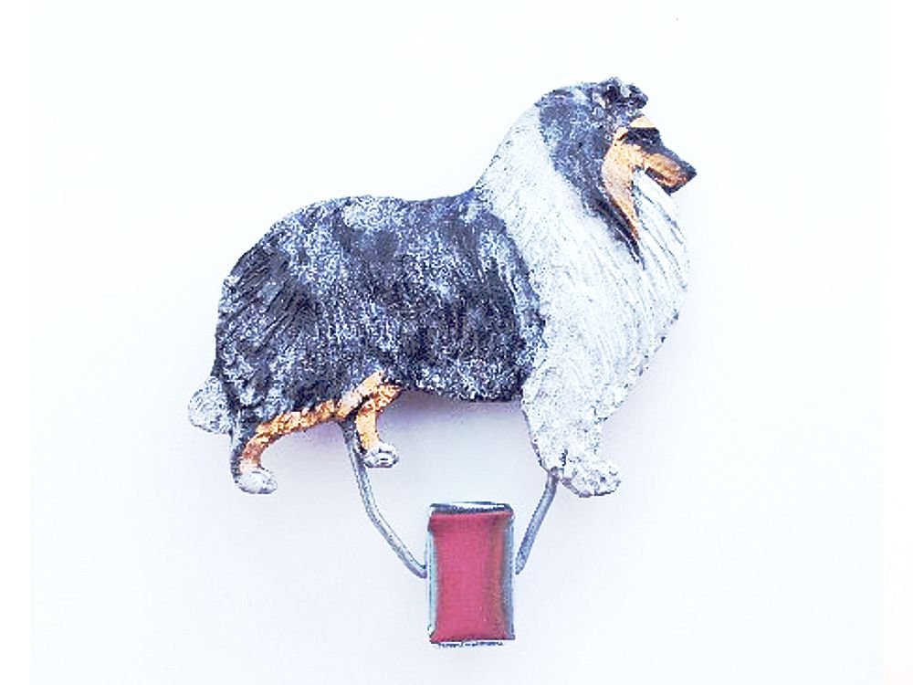 Startnummern Clip Collie bluemerle-Tierisch tolle Geschenke