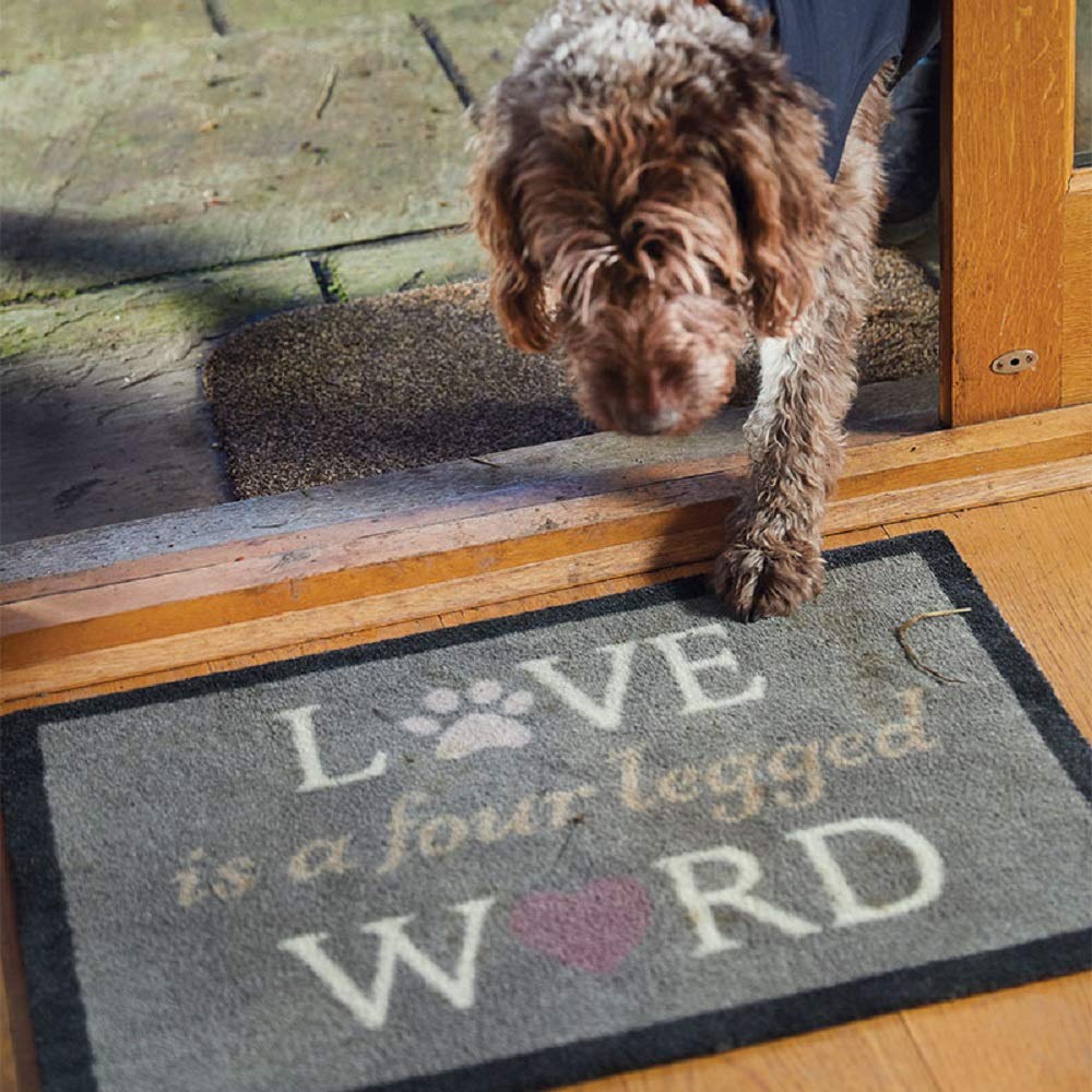Hund tritt mit nassen Pfoten auf die Love-is-a-four-legged-word-Fußmatte an der Haustür