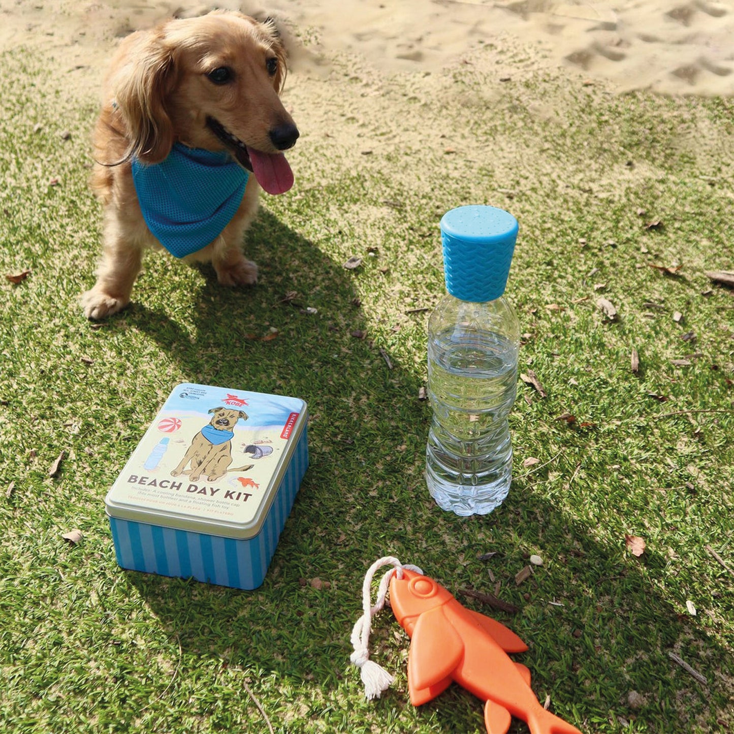 Beach Day Kit