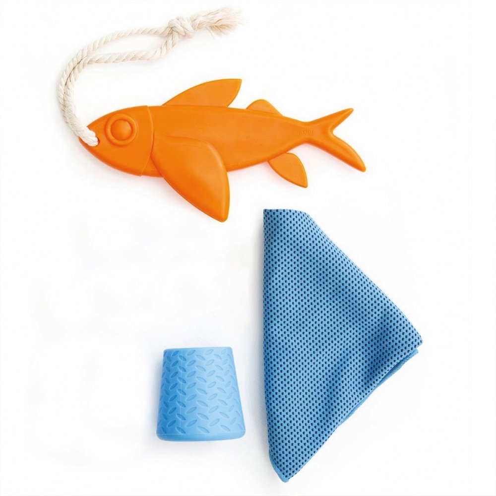 Hunde erfrischung abkühlung