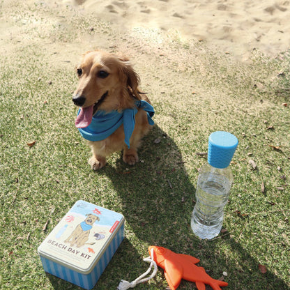 Beach Day Kit