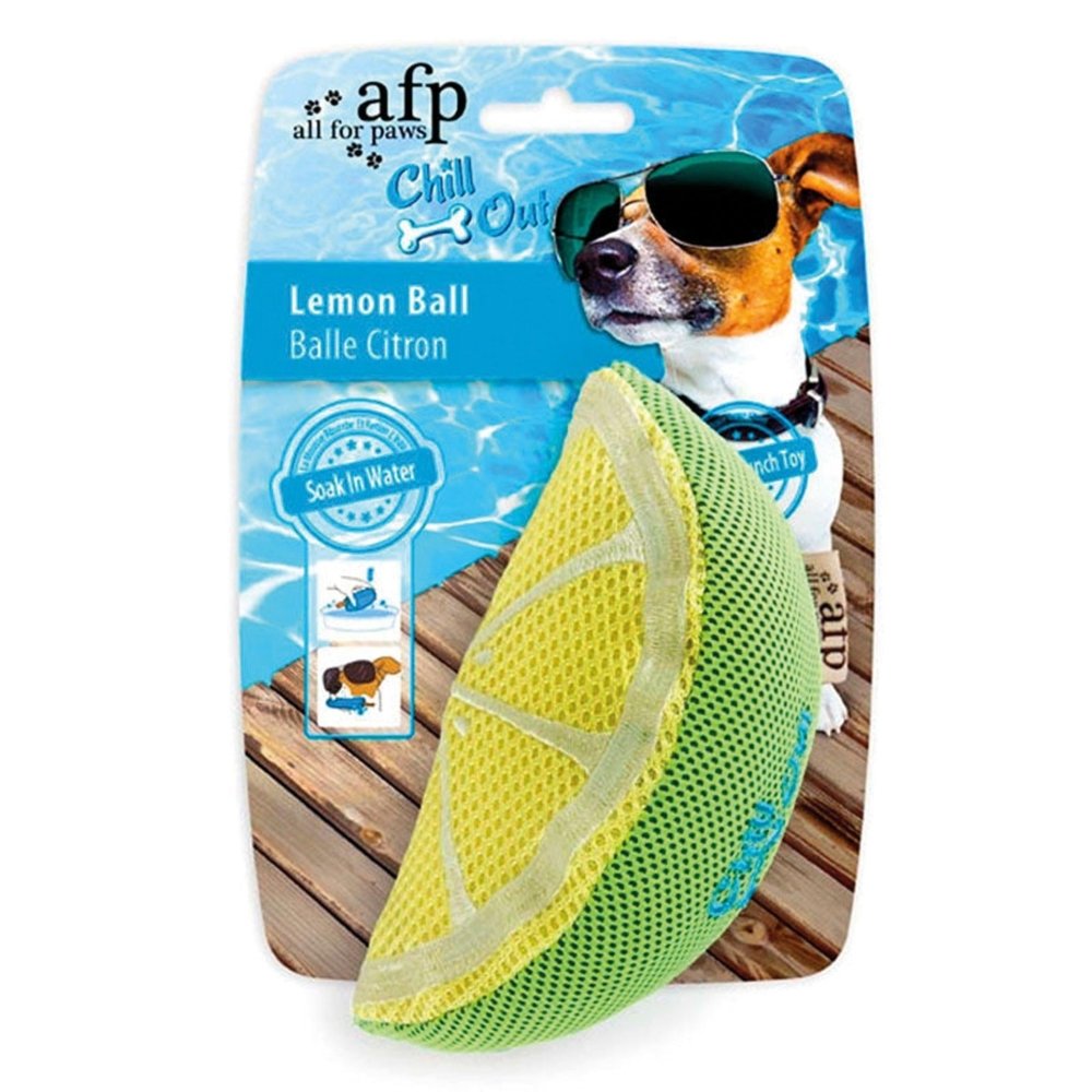 Hunde Wasserspielzeug