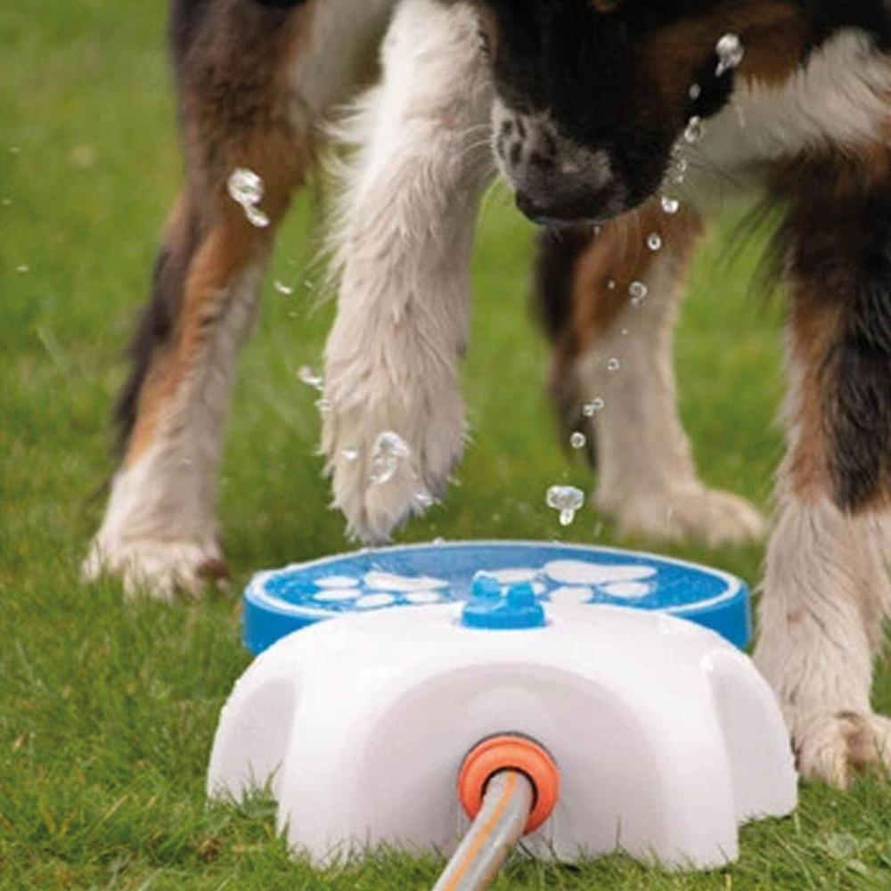 Wasserspielzeug Hund