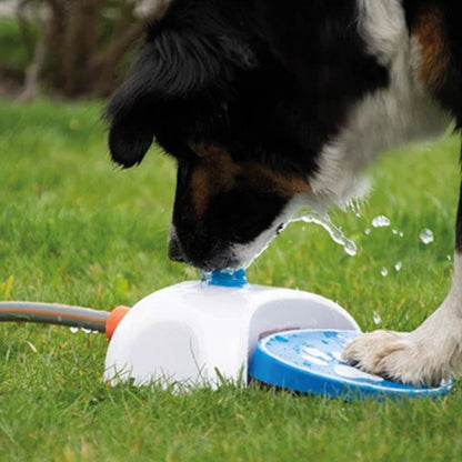 CoolPets Splash Water Fontain