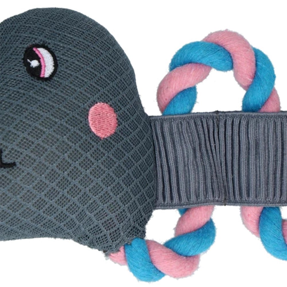 Hundespielzeug wasser