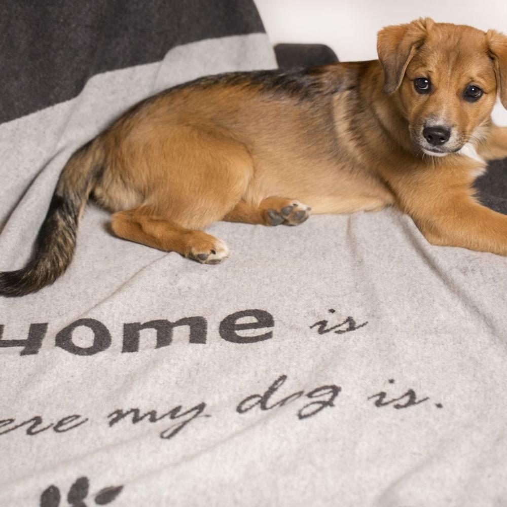 Decke home is where my dog is - Tierisch tolle Geschenke