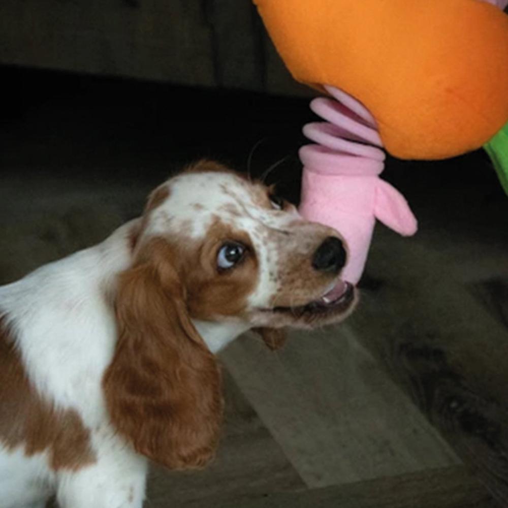 Interaktives Hundespielzeug