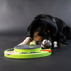 Eat Slow Live Longer Puzzle Circle