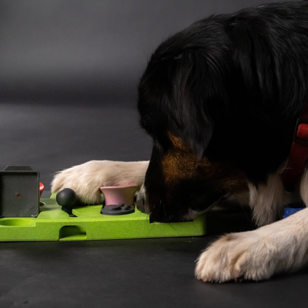 Eat Slow Live Longer Puzzle Triangle