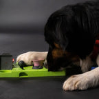 Eat Slow Live Longer Puzzle Triangle