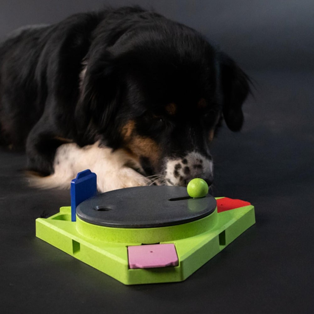 Eat Slow Live Longer Puzzle Triangle