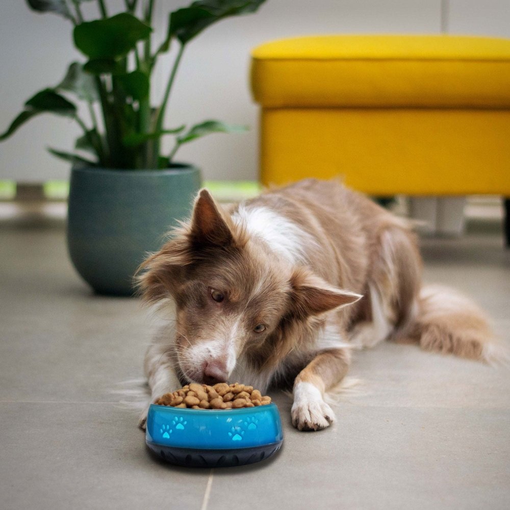 EHASO Hundenapf Hellblau mit Pfötchen-Tierisch-tolle-Geschenke-Tierisch-tolle-Geschenke