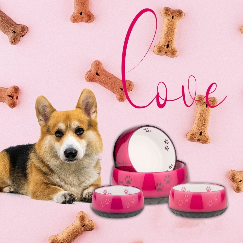 EHASO Hundenapf Hellblau mit Pfötchen-Tierisch-tolle-Geschenke-Tierisch-tolle-Geschenke