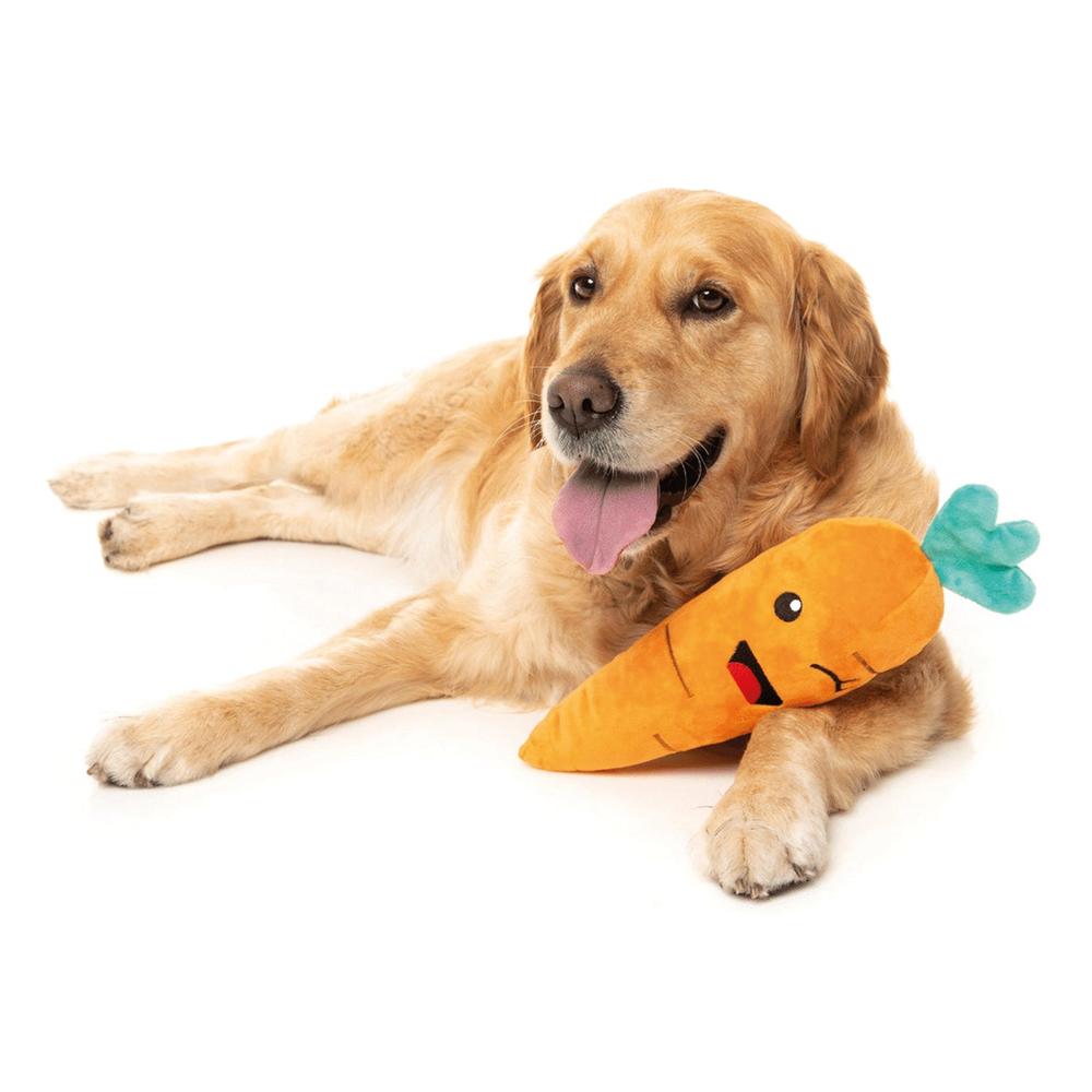 Hundespielzeug Möhre