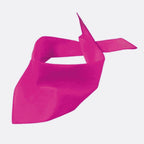 Hundehalstuch Pfote - Tierisch tolle Geschenke