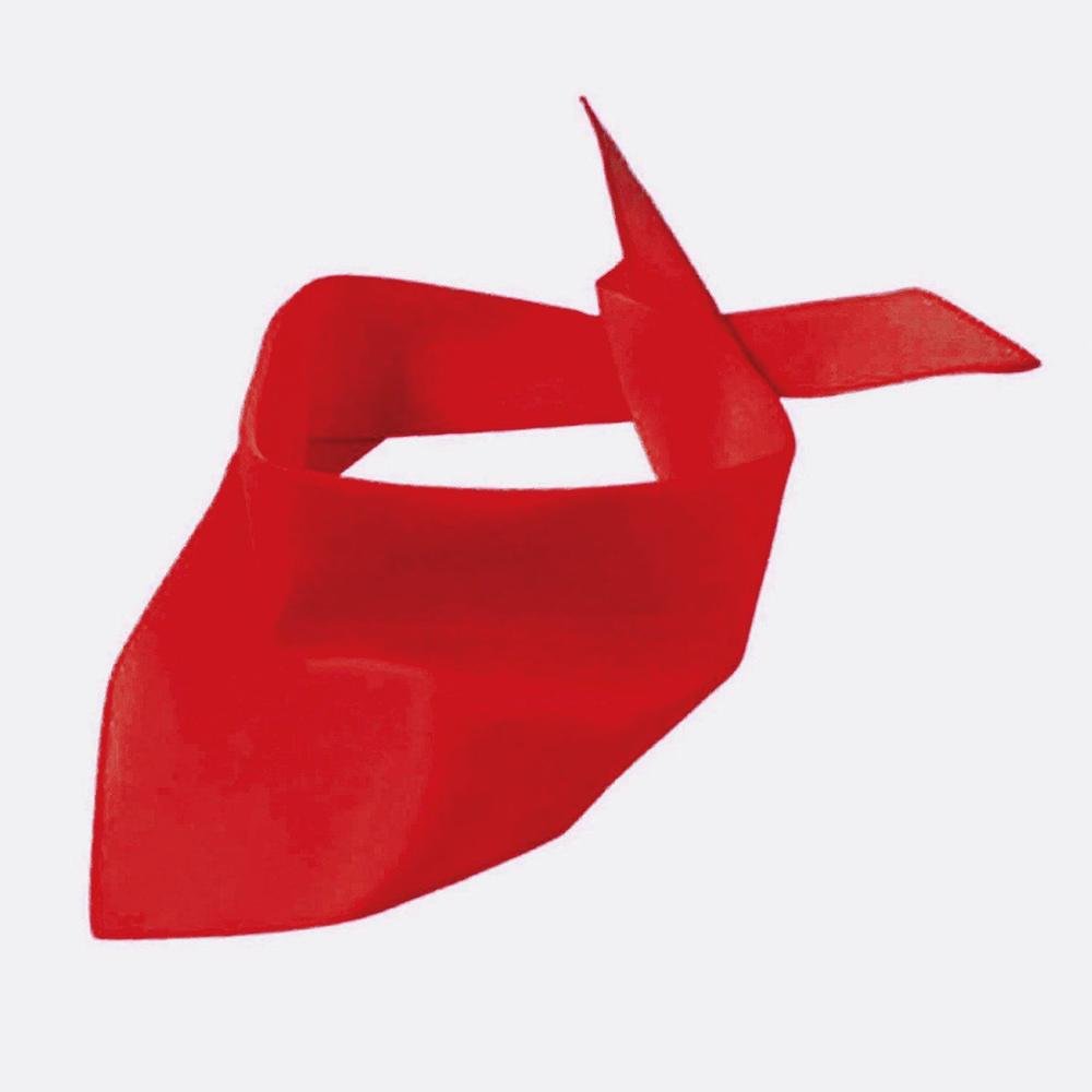 Hundehalstuch Pfote - Tierisch tolle Geschenke