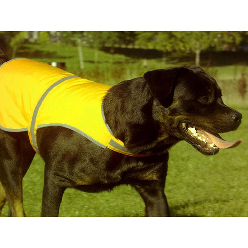Hunde Warnweste Mantrailing neongelb – reflektierende Sicherheitsweste personalisiert