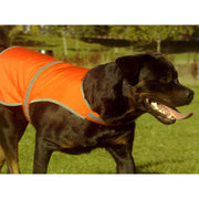 Hunde Warnweste Mantrailing orange – reflektierende Hundewarnweste Sicherheitsweste