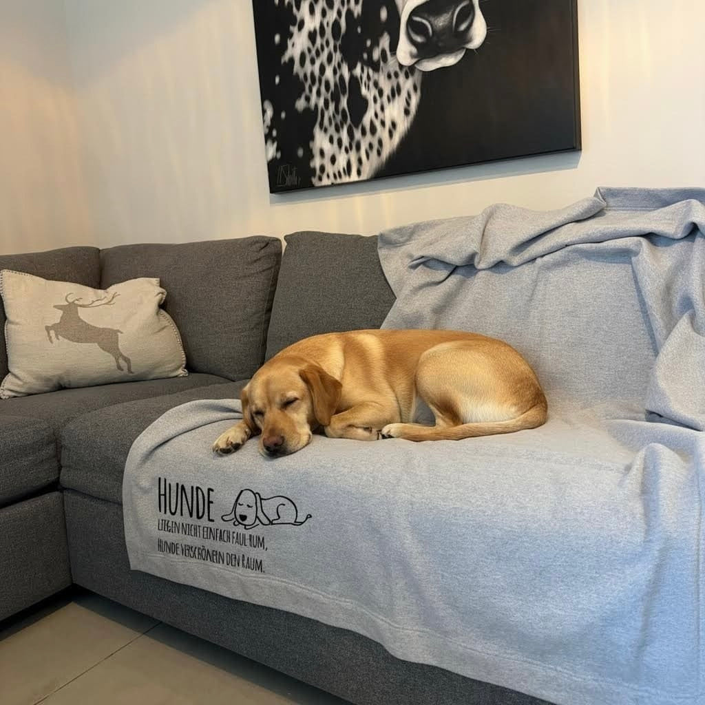Hunde Kuscheldecke Labrador