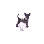 Startnummern Clip Pinscher black and tan 2-Tierisch tolle Geschenke