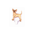 Handbemalter Startnummern-Clip mit Pinscher fawn, zweites Modell