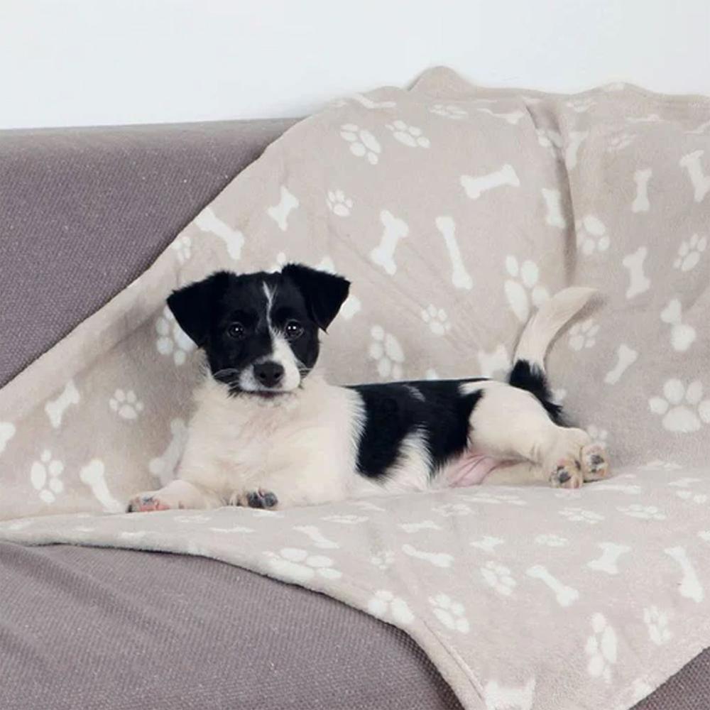 Hundedecke Kenny beige - Tierisch tolle Geschenke