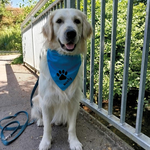 Hundehalstuch Pfote - Tierisch tolle Geschenke