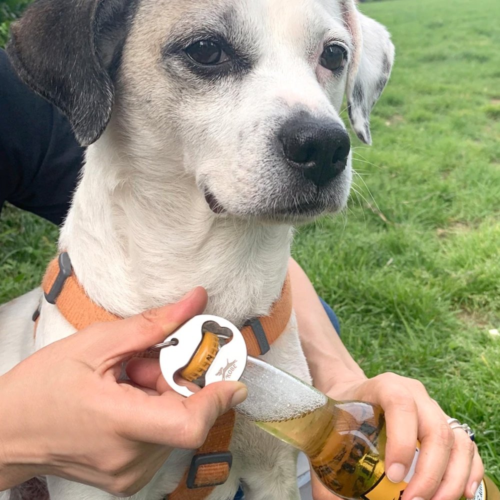 Metall Schlüsselanhänger Flaschenöffner - Knochen-Tierisch-tolle-Geschenke-Tierisch-tolle-Geschenke