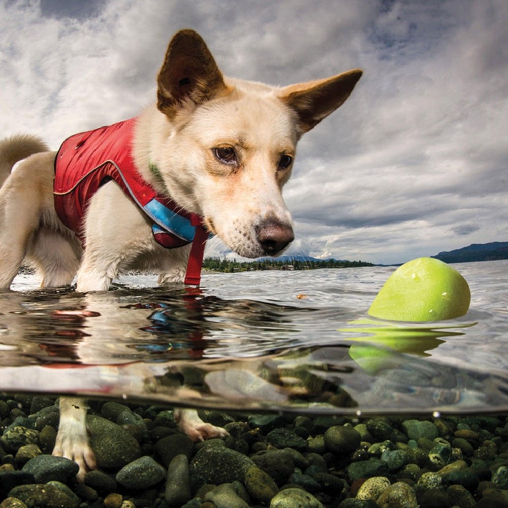 Skipping Stones Aqua Toy 2er Set-Tierisch tolle Geschenke