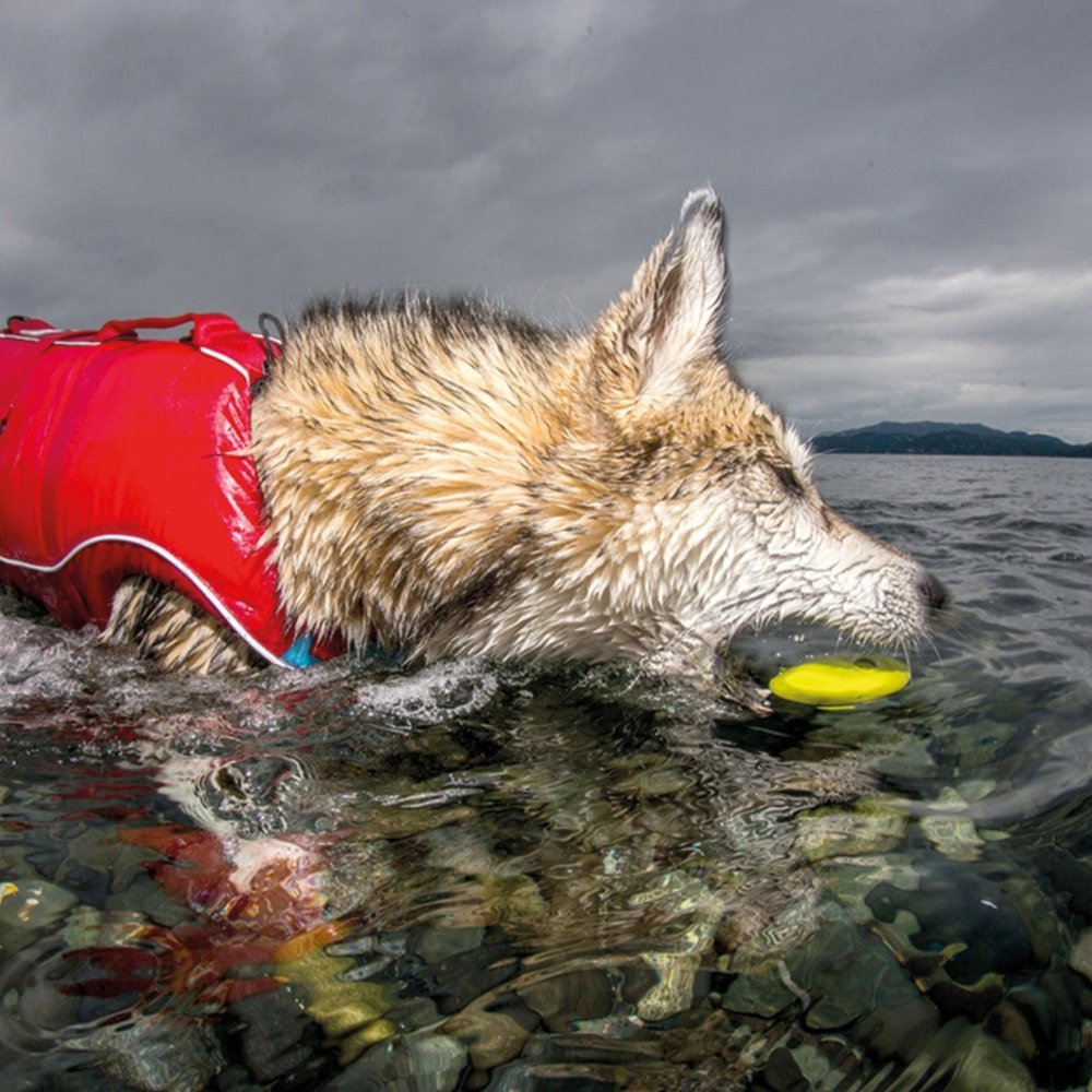 Skipping Stones Aqua Toy 2er Set-Tierisch tolle Geschenke