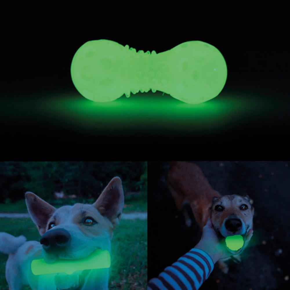 Leucht Bone - Tierisch tolle Geschenke