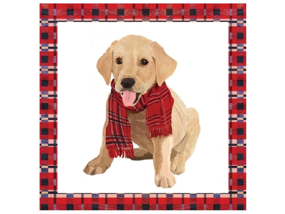 Cocktail Papier-Servietten: Hund - Monty Labrador 20 Stck 25 x 25 cm-Tierisch tolle Geschenke