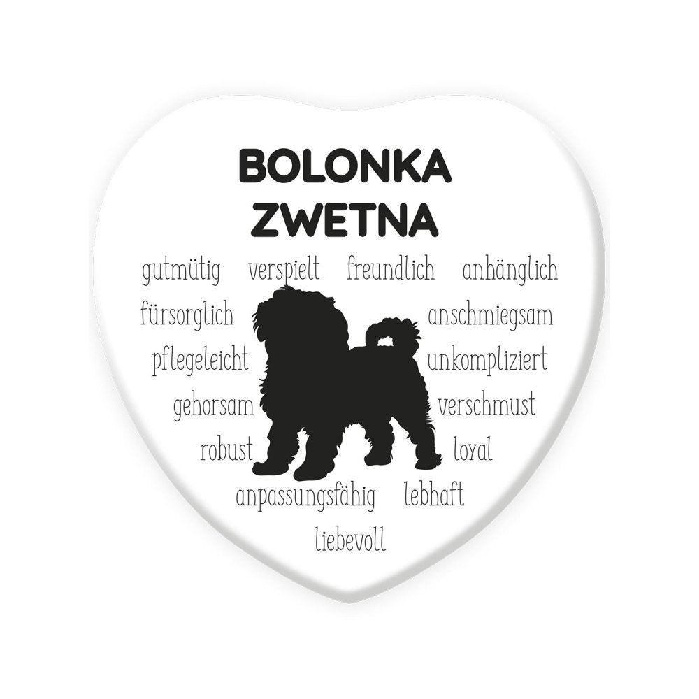 Magnet: Bolonka Zwetna-Tierisch-tolle-Geschenke-Tierisch-tolle-Geschenke