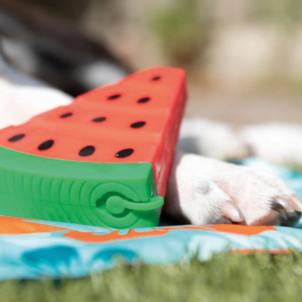 Kühlspielzeug Hunde gefrieren