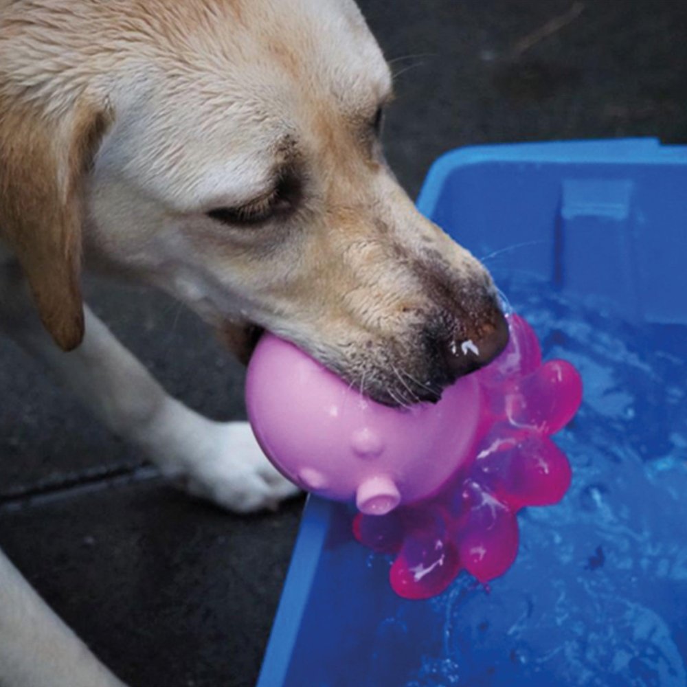 oktopus hundespielzeug