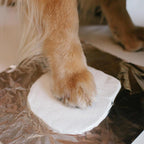 Pearhead ® - 3D Pfotenabdruck Set Hund & Katze inkl. Bilderrahmen - vintage grau