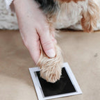 Pearhead ® - Pfotenabdruck Hund & Katze clean-touch ink pad
