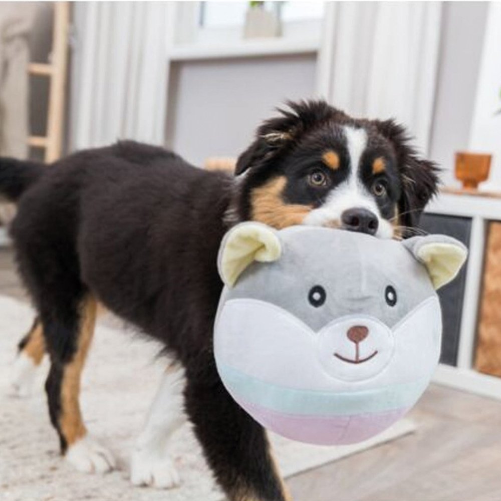 Plüsch Welpenspielzeug ohne Quietscher