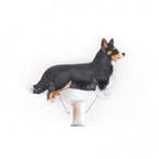 Startnummern Clip Welsh Corgi tricolor-Tierisch tolle Geschenke