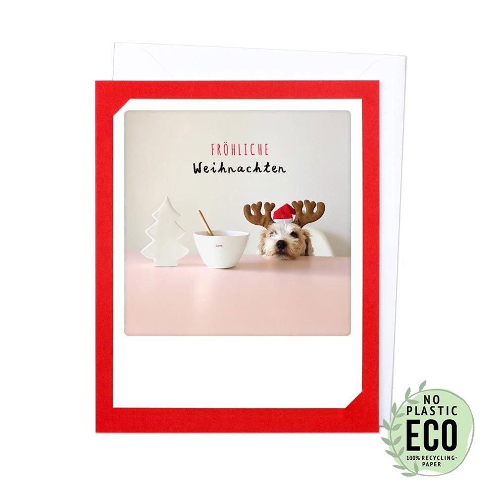 Klapp-Karte Fröhliche Weihnachten-Tierisch tolle Geschenke