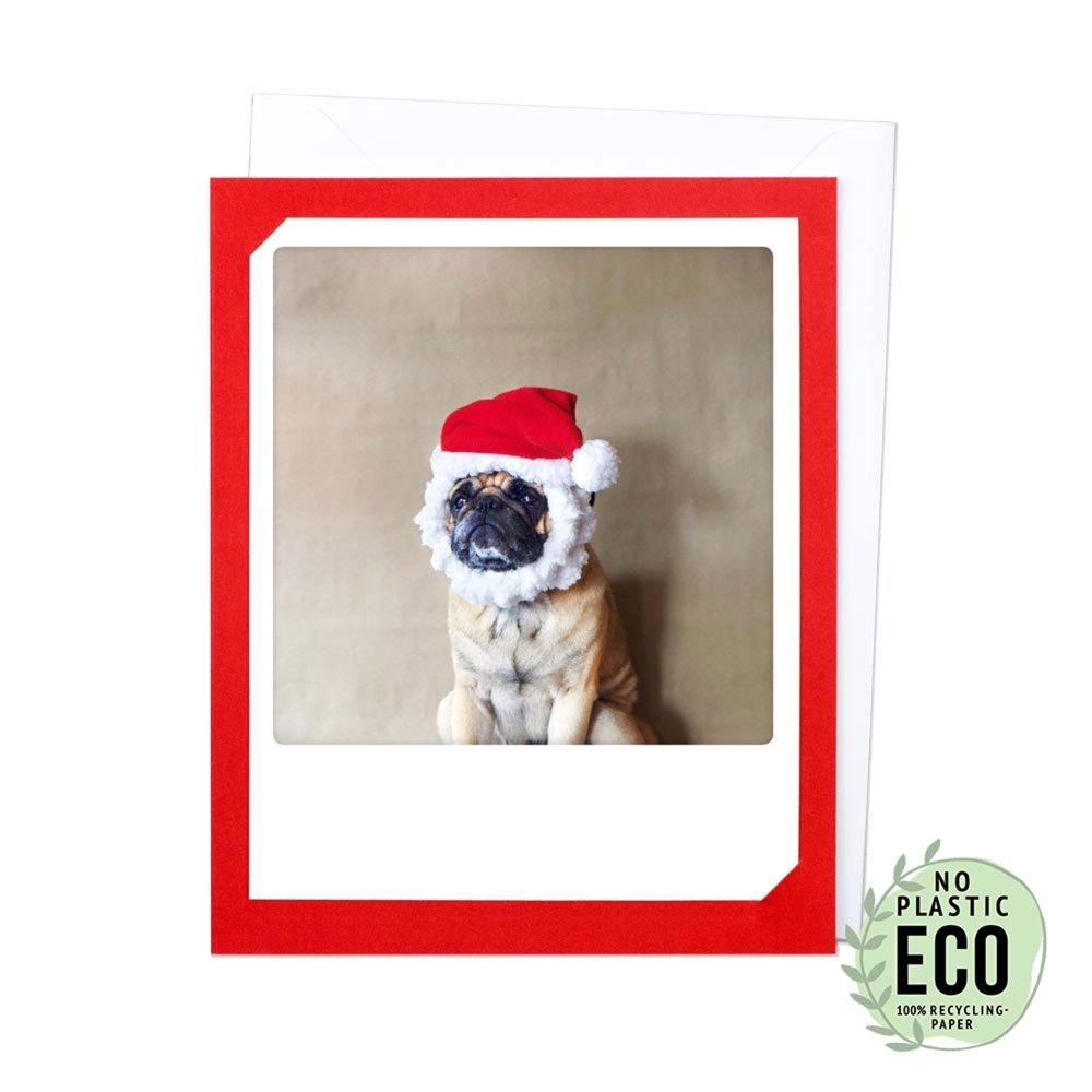 Klapp-Karte Christmas Puppy rot-Tierisch tolle Geschenke