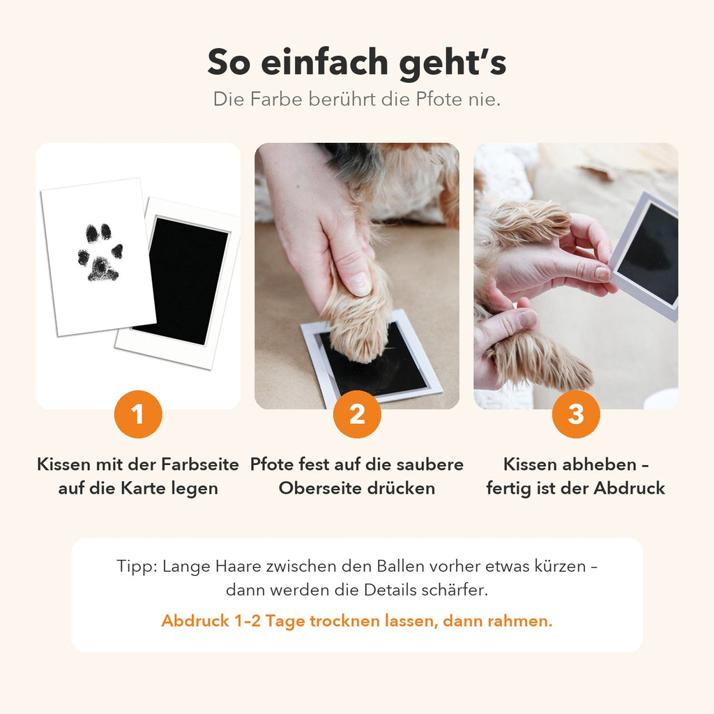 So geht der Pfotenabdruck in drei Schritten: Kissen auf die Karte legen, Pfote auf die saubere Oberseite drücken, abheben. Die Farbe berührt die Pfote nie.