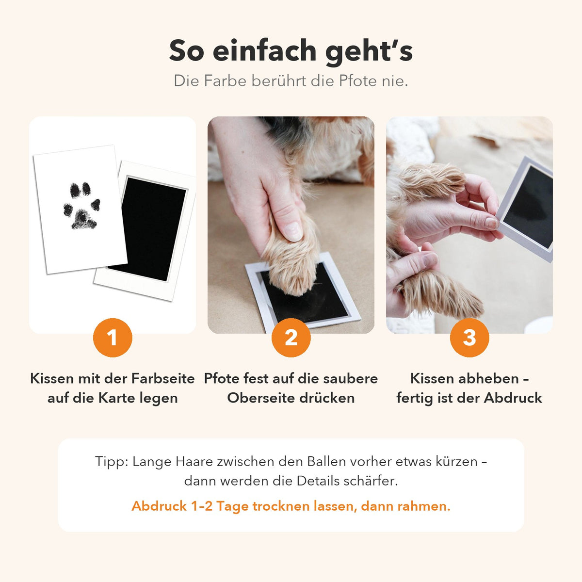 So geht der Pfotenabdruck in drei Schritten: Kissen auf die Karte legen, Pfote auf die saubere Oberseite drücken, abheben. Die Farbe berührt die Pfote nie.