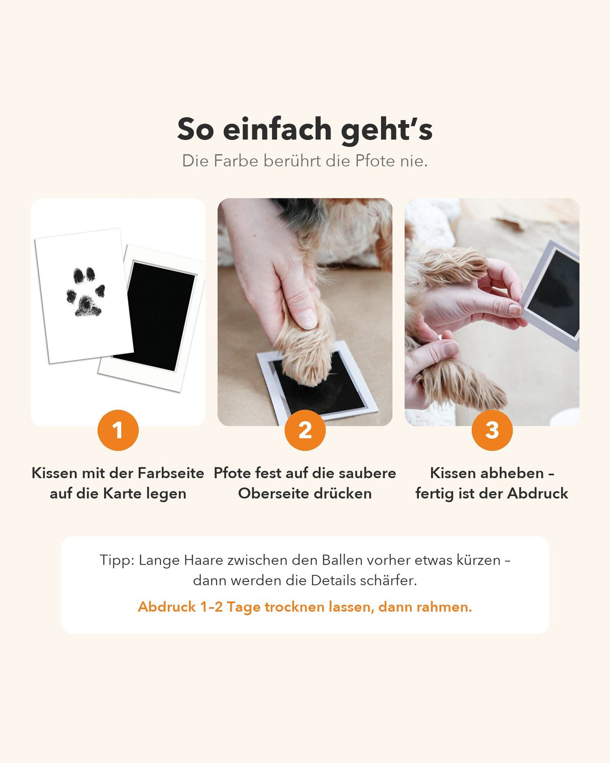 So geht der Pfotenabdruck in drei Schritten: Kissen auf die Karte legen, Pfote auf die saubere Oberseite drücken, abheben.