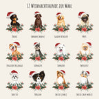 Übersicht der 12 Weihnachtshunde: Dackel, Labrador, Golden Retriever, Mops, Englische Bulldogge, Schnauzer, Samojede, Zwergspitz, Shih Tzu, Papillon und zwei Shelties