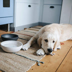 BAMBOO Bambus Hundenapf -District 70-Tierisch-tolle-Geschenke-Tierisch-tolle-Geschenke