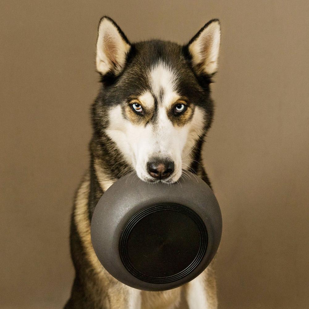 BAMBOO Bambus Hundenapf -District 70-Tierisch-tolle-Geschenke-Tierisch-tolle-Geschenke