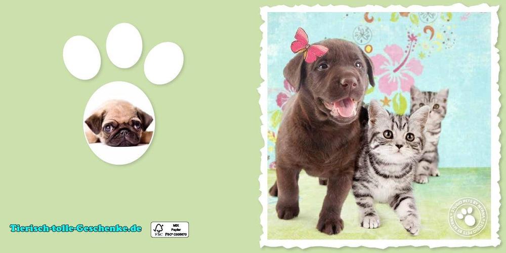 Myrna Grußkarte: Labrador & Kätzchen-Tierisch tolle Geschenke